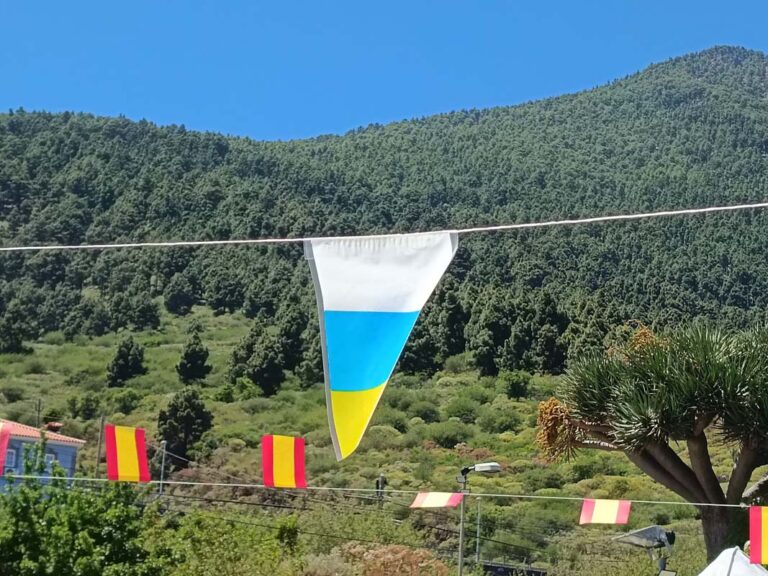 bandera-de-canarias-festividad