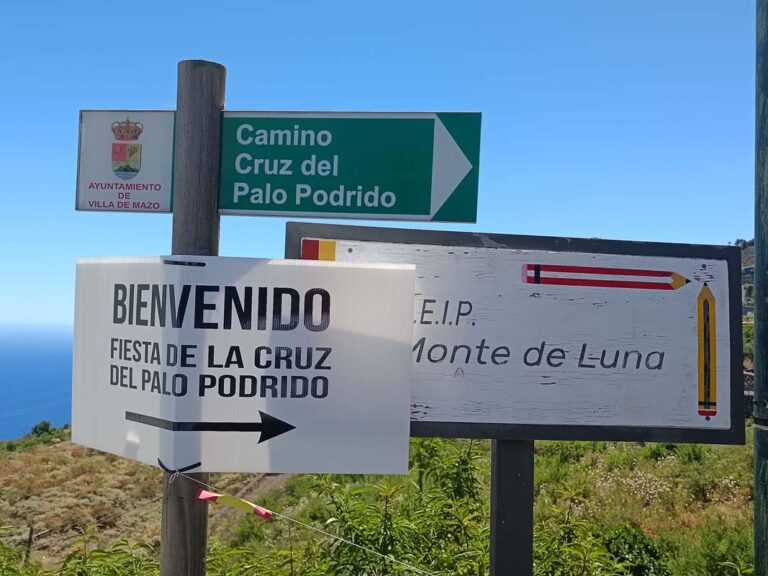 cartel-fiesta-de-la-cruz-del-palo-podrido